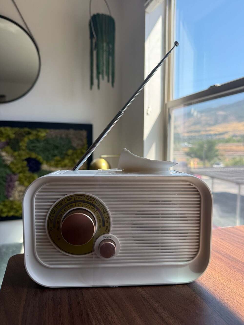 Hearth & Hand with Magnolia Siena Portable Bluetooth Radio in Sour Cream/Brass